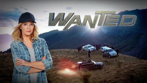 Wanted (2016)