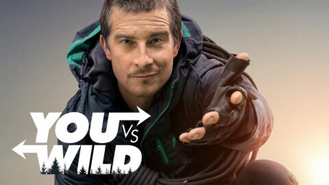 You vs. Wild