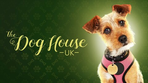 The Dog House: UK