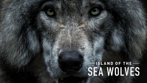 Island of the Sea Wolves