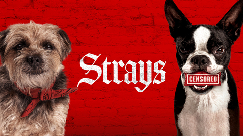 Strays