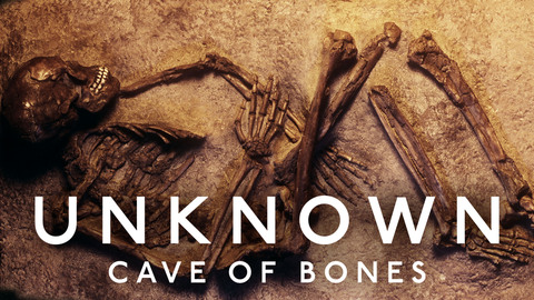 Unknown: Cave of Bones